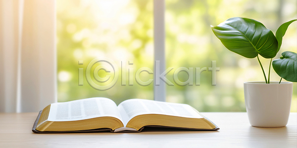 사람없음 JPG 편집이미지 기독교 몬스테라 보케 성경 잎 종교 창문 천주교 커튼 탁자 편집실사 화분