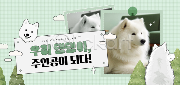 귀여움 포근함 사람없음 AI(파일형식) 템플릿 강아지 구름(자연) 나무 반려견 사모예드 사진 스튜디오 앉기 이미지템플릿 초록색 흰색 힐링