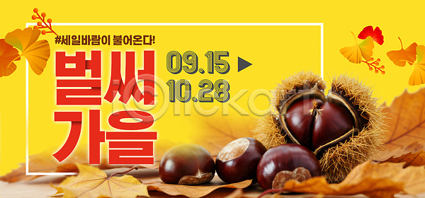 PSD 편집이미지 10월 9월 가을(계절) 단풍 밤(견과류) 밤나무 방문객 수확 이미지편집 이벤트 자연 지역 축제 포스터 풍요 흥미