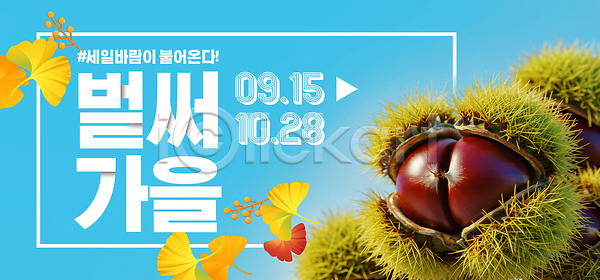 PSD 편집이미지 10월 9월 가을(계절) 가족 나무 나비 밤(견과류) 시골 이미지편집 자연 주말 축제 탐방