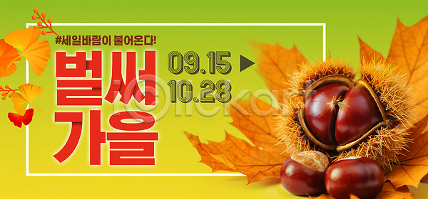 PSD 편집이미지 10월 9월 가을(계절) 밤(견과류) 색채 수확 이미지편집 이벤트 자연 전통 축제 특산물 프로그램 한국