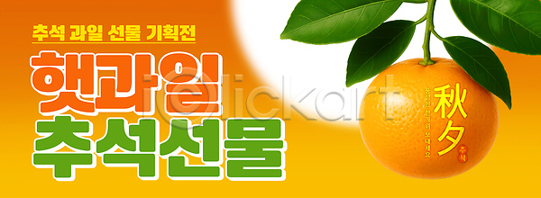 기쁨 따뜻함 PSD 편집이미지 계절 과일 과일바구니 색감 선물 수확 이미지편집 잎 추석 한국 햇빛 홀로그램
