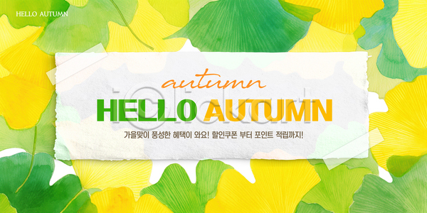 변화 편안함 AI파일 템플릿 가을(계절) 계절 나무 백그라운드 뷰티풀 색감 은행잎 이미지템플릿 잎 자연 초록색