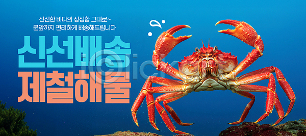 JPG 편집이미지 AI컴퓨터그래픽 AI콘텐츠 갑각류 대게 바다 바닷속 빨간색 수영 수족관 수중 수중동물 이미지편집 자연 해변