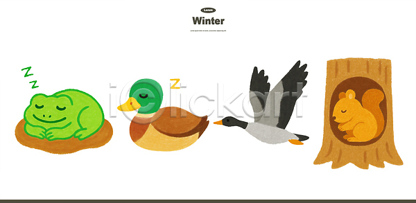 휴식 PSD 일러스트 겨울 국내일러스트 다람쥐 동물 두꺼비 둥지 보온 생물 생태계 수면 수중동물 오리 자연 환경