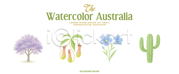 PSD 일러스트 국내일러스트 그림 꽃 나무 디자인 뷰티풀 선인장 수채화 식물 예술 잎 자연 자연주의 조화 창의성 컬러 호주