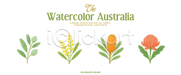 PSD 일러스트 국내일러스트 그래픽 꽃 드로잉 디자인 뷰티풀 생명 수채화 식물 예술 원형 잎 자연 채색 추상 컬러 호주