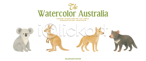 귀여움 부드러움 PSD 일러스트 관찰 국내일러스트 그림 동물 동물캐릭터 딩고 수채화 예술 자연 조화 캥거루 코알라 호주