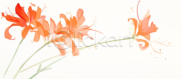 편안함 JPG 일러스트 AI일러스트 AI콘텐츠 국내일러스트 꽃 꽃잎 디자인 디지털아트 백그라운드 뷰티풀 생동감 석산꽃 수채화 식물 예술 자연 조화 줄기 컬러 표현 화사함