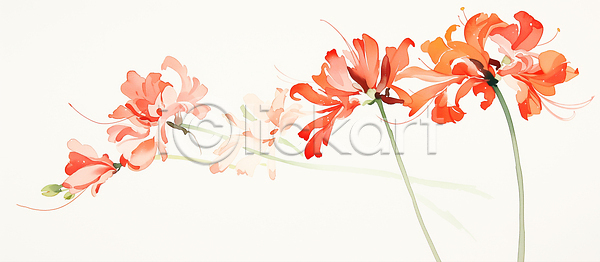 감성 부드러움 평화 JPG 일러스트 AI일러스트 AI콘텐츠 국내일러스트 그림 꽃 동백 디자인 미소 붓터치 뷰티풀 색감 석산꽃 식물 여름 예술 원예 자연 정원 컬러 햇빛 화사함