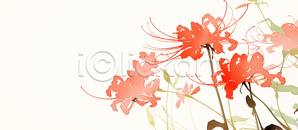 JPG 일러스트 AI일러스트 AI콘텐츠 감정 개화 국내일러스트 꽃 백그라운드 불꽃 뷰티풀 비늘 색감 생명 석산꽃 식물 여름 잎 자연 풍경 화사함