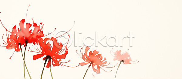 분위기 JPG 일러스트 AI일러스트 AI콘텐츠 감정 계절 공간 국내일러스트 꽃 꽃잎 백그라운드 뷰티풀 비율 생동감 생명 석산꽃 식물 예술 자연 줄기 컬러 풍경 화사함