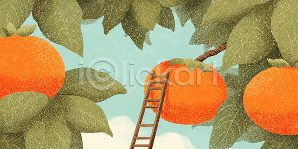 JPG 일러스트 AI일러스트 AI콘텐츠 과일 과일따기 국내일러스트 나무 나뭇잎 농업 농장 단감 사다리 수확 여름 열매 원예 자르기 자연 작업