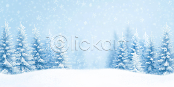 고요 차가움 JPG 편집이미지 겨울 눈 눈내림 뷰티풀 소나무 숲 숲속 이미지편집 자연 풍경 하늘 흰색