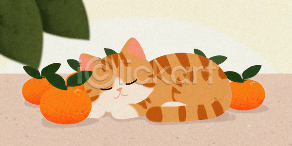 귀여움 달콤 편안함 행복 휴식 JPG 일러스트 감정 고양이 과일 국내일러스트 귤 동물 반려동물 인테리어 잠 집안 차분 컬러