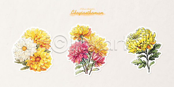 화려 AI파일 일러스트 국내일러스트 국화 그림 꽃 꽃집 디자인 뷰티풀 생동감 세트 수확 스타일 스티커 식물 자연 장미 장식 컬러