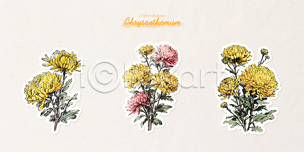 화려 AI파일 일러스트 국내일러스트 국화 그림 꽃 디자인 디지털아트 봄 뷰티풀 색감 스티커 식물 예술 자연 장식 컬러 풍경