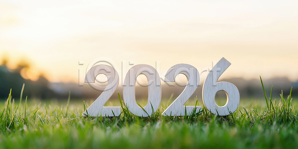 분위기 새로움 JPG 편집이미지 2026년 AI컴퓨터그래픽 AI콘텐츠 기념 백그라운드 새해 숫자 여름 위 일몰 자연 잔디 저녁 태양 편집실사 햇빛