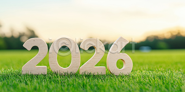 평화 JPG 편집이미지 2026년 AI컴퓨터그래픽 AI콘텐츠 기념 나무 새해 숫자 야외 연도 자연 잔디 초대 초록색 편집실사 풍경 햇빛