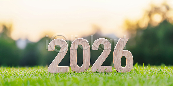 미래 평화 사람 JPG 편집이미지 2026년 AI컴퓨터그래픽 AI콘텐츠 기념 나무 목재 백그라운드 새해 생활 숫자 연도 자연 잔디 편집실사 햇빛 환경