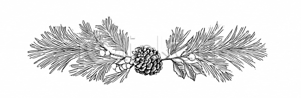 JPG 일러스트 흑백 AI일러스트 AI콘텐츠 국내일러스트 드로잉 디자인 디지털아트 모양 목재 뷰티풀 색감 생태계 솔 솔방울 솔잎 숲 식물 예술 자연 조화 플리마켓