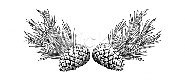 JPG 일러스트 흑백 AI일러스트 AI콘텐츠 고산지대 국내일러스트 드로잉 디자인 목재 뷰티풀 산 생명 생물 생태계 소나무 솔방울 솔잎 숲 스타일 식물 예술 자연 장식 조화 환경