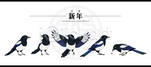 즐거움 PSD 일러스트 감정 국내일러스트 그림 기념 까치 날개 동물 먹이 모션 문화 비행 새해 이벤트 전통 조류 축제 풍경