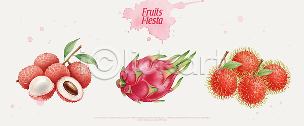 신선 PSD 일러스트 과일 국내일러스트 디저트 람부탄 리치 맛 먹거리 샐러드 생과일 식사 열대 용과 종류 컬러 탁자