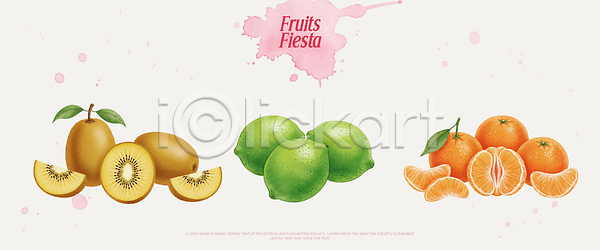 신선 PSD 일러스트 건강 과일 국내일러스트 귤 디저트 라임 비타민 아침 여름 요리 음식 자연 재료 컬러 키위