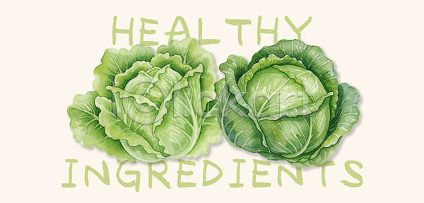 준비 PSD 일러스트 건강 건강식 국내일러스트 농장 다이어트 레시피 샐러드 식사 식사준비 식재료 양배추 양상추 요리 원예 음식 재료 채소 친환경