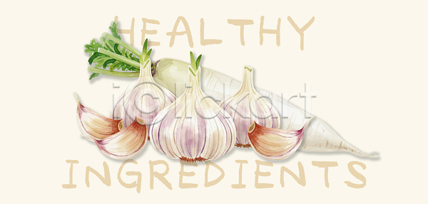 신선 PSD 일러스트 건강 건강식 국내일러스트 마늘 맛 무 생활 식사 식재료 요리 음식 자연 재료 정원 주방 채소 한식