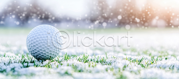 산책 JPG 편집이미지 AI컴퓨터그래픽 AI콘텐츠 겨울 골프 골프공 나무 눈내림 스포츠 야외 운동 자연 잔디 편집실사 풍경 햇빛 흰색