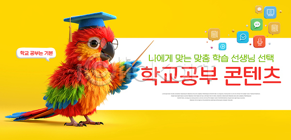 선택 즐거움 PSD 편집이미지 교사 교육 노란색 맞춤 안경 앵무새 이미지편집 컬러 콘텐츠 학생 학습