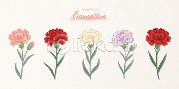 감사 사랑 PSD 일러스트 국내일러스트 그림 기념일 꽃 꽃다발 모양 보라색 분홍색 빨간색 생일 식물 원예 자연 장식 줄기 카네이션 컬러 흰색