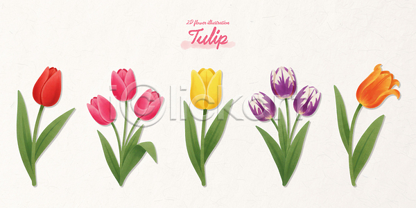PSD 일러스트 국내일러스트 꽃 꽃다발 나란히 노란색 백그라운드 보라색 봄 분홍색 빨간색 식물 실내 예술 원예 잎 자연 장식 정원 컬러 튤립