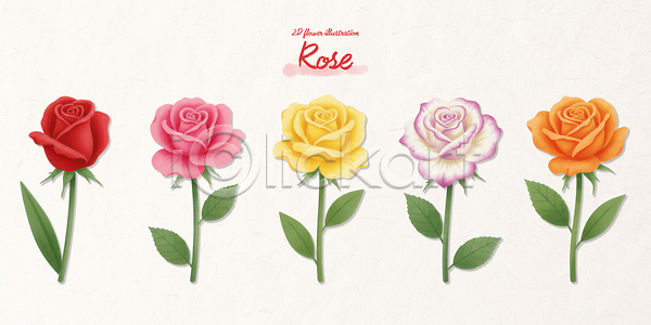 PSD 일러스트 국내일러스트 그림 꽃 꽃다발 꽃잎 나란히 디자인 스케치 스타일 예술 잎 장미 줄기 창의력 컬러 표현 화사함