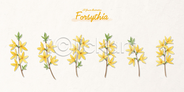 PSD 일러스트 개나리 국내일러스트 꽃 꽃다발 꽃잎 나무 노란색 배열 봄 생명 솔방울 식물 야외 자연 정원 조화 주말 줄기 컬러 화초