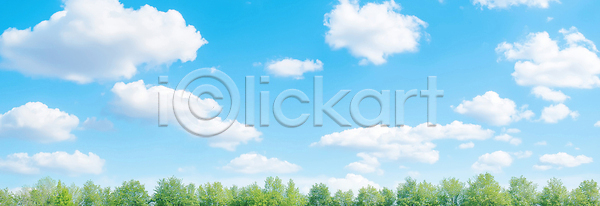 JPG 편집이미지 AI콘텐츠 AI포토 구름 나무 날씨 맑음 봄 숲 야외 여름 자연 조용 초록색 태양 파란색 편집실사 풍경 하늘 햇빛