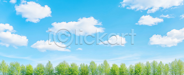 JPG 편집이미지 AI콘텐츠 AI포토 감정 구름 나무 날씨 맑음 봄 숲 식물 여름 일상 자연 초원 편집실사 풍경 하늘 환경