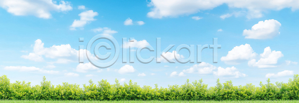 JPG 편집이미지 AI콘텐츠 AI포토 구름 날씨 바람 밭 봄 생명 숲 식물 여름 자연 초록색 초원 파란색 편집실사 풍경 하늘 햇빛