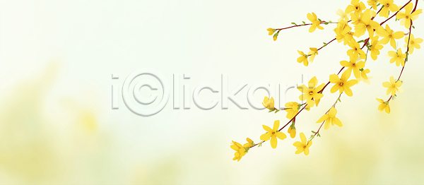 JPG 근접촬영 일러스트 AI일러스트 AI콘텐츠 개나리 개화 국내일러스트 꽃 꽃봉오리 꽃잎 나무 노란색 드넓은 봄 새싹 생명 식물 자연 정원 풍경 햇빛 화초