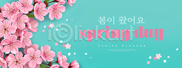 즐거움 여러명 PSD 편집이미지 계절 꽃구경 꽃잎 나무 만개 벚꽃 봄 이미지편집 자연 컬러 파란배경 풍경 햇빛 화사함