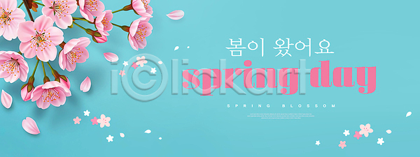 떨어짐 PSD 편집이미지 계절 꽃 꽃잎 나무 봄 분홍색 새싹 생명 이미지편집 잎 자연 풍경 하늘 햇빛