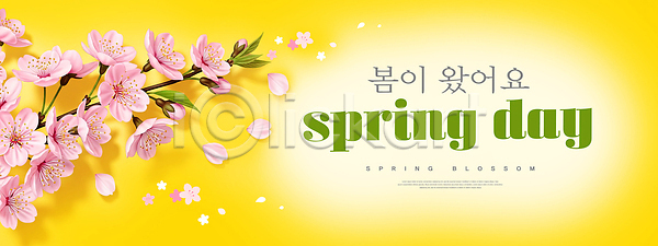 PSD 편집이미지 계절 꽃 꽃잎 꽃집 노란색 백그라운드 벚꽃 봄 뷰티풀 생명 식물 이미지편집 잎 자연 컬러 햇빛