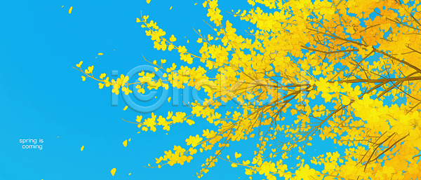 변화 JPG 일러스트 AI일러스트 AI콘텐츠 개나리 국내일러스트 나무 나뭇가지 날씨 바람 봄 뷰티풀 생명 식물 일상 자연 풍경 하늘 햇빛 환경