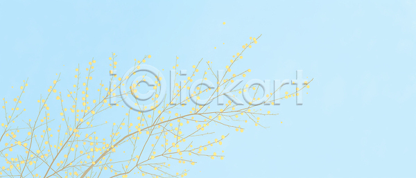 성장 JPG 일러스트 AI일러스트 AI콘텐츠 관찰 국내일러스트 꽃 나뭇가지 바람 봄 뷰티풀 산수유 생명 식물 야외 일상 잎 자연 촬영 풍경 하늘 환경