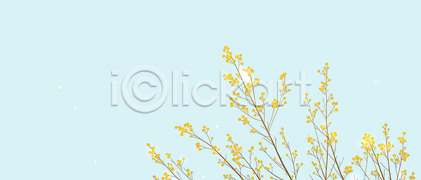 JPG 일러스트 AI일러스트 AI콘텐츠 국내일러스트 꽃 꽃잎 날씨 노란색 바람 발굴 백그라운드 봄 뷰티풀 산수유 생명 식물 자연 컬러 풍경 하늘 환경