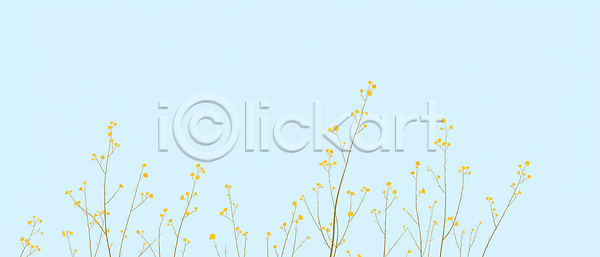 변화 성장 JPG 일러스트 AI일러스트 AI콘텐츠 국내일러스트 꽃밭 날씨 농장 들꽃 바람 백그라운드 봄 산수유 생명 식물 야외 자연 정원 줄기 컬러 하늘 환경