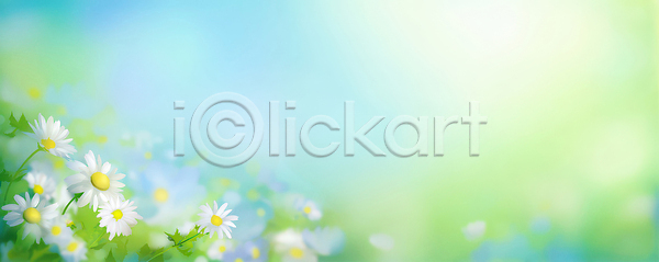 JPG 일러스트 AI일러스트 AI콘텐츠 국내일러스트 꽃 꽃밭 꽃잎 들꽃 바람 밝음 백그라운드 봄 뷰티풀 빛 식물 자연 초록색 풍경 햇빛