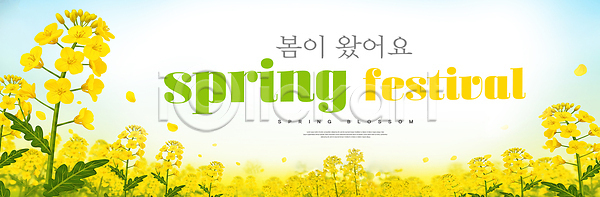 즐거움 PSD 편집이미지 꽃 날씨 노란색 만개 모임 봄 이미지편집 이벤트 자연 축제 햇빛